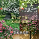 南京博物院 - 南京市旅游 缩略图 5
