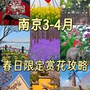 南京博物院 - 南京市旅游 缩略图 1