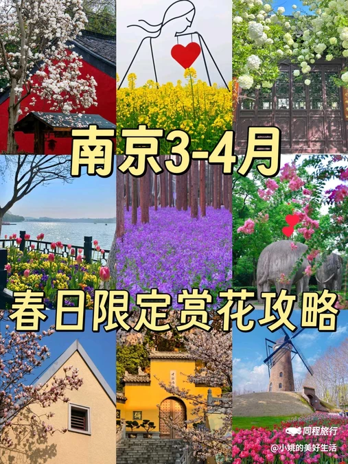 南京博物院 - 南京市旅游