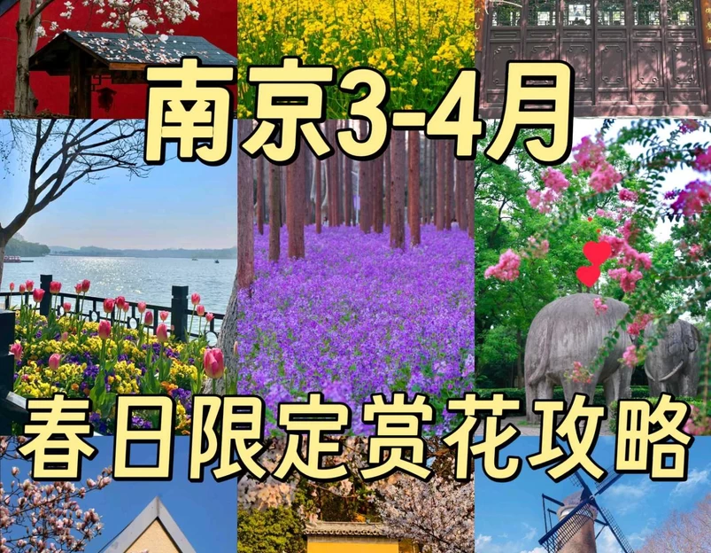 南京博物院 - 南京市旅游 1