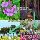 南京博物院 - 南京市旅游 缩略图 7