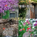 南京博物院 - 南京市旅游 缩略图 9