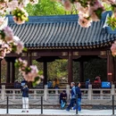 虎丘山风景名胜区 - 苏州市旅游 缩略图 9