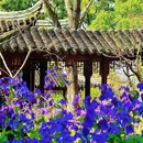 虎丘山风景名胜区 - 苏州市旅游 缩略图 8