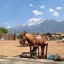 丽江古城 - 丽江市旅游 缩略图 8