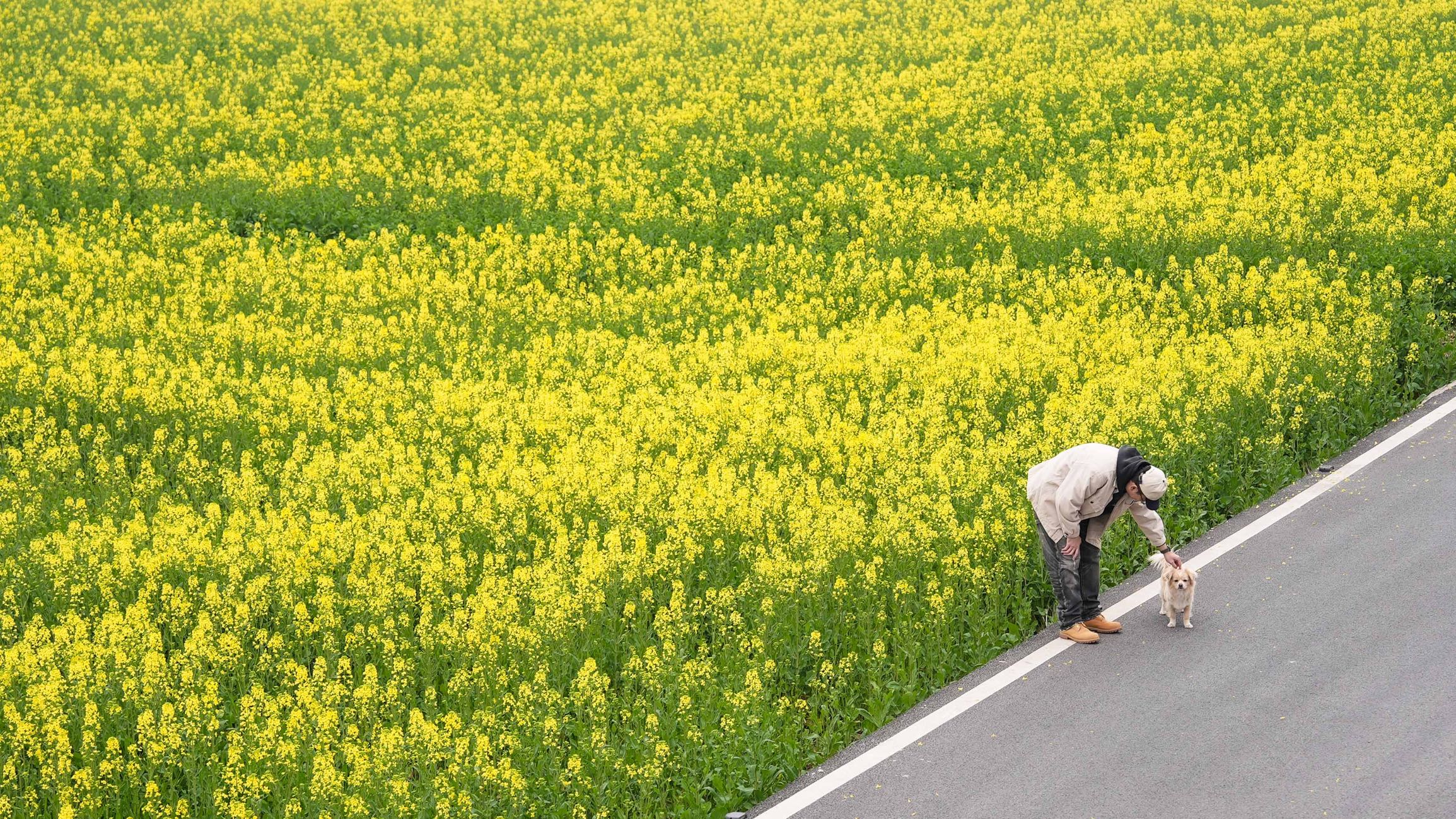 严州古城 - 杭州市旅游