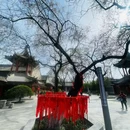 关中书院 - 西安市旅游 缩略图 8
