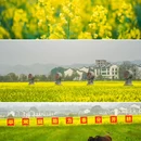 稻田公园 - 郴州市旅游 缩略图 4