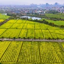 稻田公园 - 郴州市旅游 缩略图 8