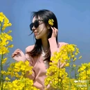 西安蓝田玉山油菜花观赏点 - 西安市旅游 缩略图 1