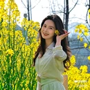 西安蓝田玉山油菜花观赏点 - 西安市旅游 缩略图 9