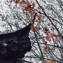紫阳公园 - 武汉市旅游 缩略图 2