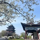 紫阳公园 - 武汉市旅游 缩略图 7