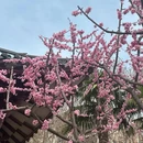紫阳公园 - 武汉市旅游 缩略图 9