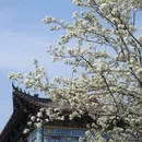 紫阳公园 - 武汉市旅游 缩略图 6