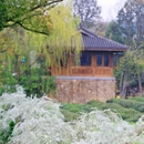 中国茶叶博物馆(双峰馆区) - 杭州市旅游 缩略图 5