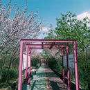 桤木河湿地公园 - 成都市旅游 缩略图 2