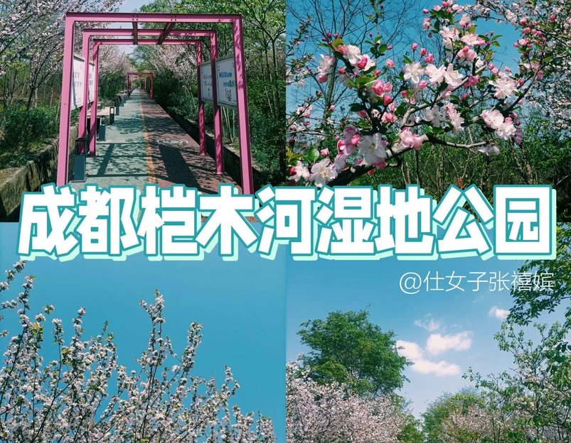 桤木河湿地公园 - 成都市旅游 1