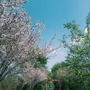 桤木河湿地公园 - 成都市旅游 缩略图 6