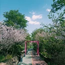 桤木河湿地公园 - 成都市旅游 缩略图 7