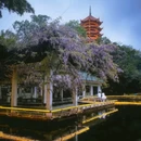 汉庭酒店(重庆李子坝牛角沱地铁站店) - 重庆市旅游 缩略图 8