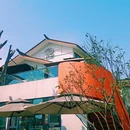 五星村 - 成都市旅游 缩略图 4