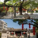 小洲村 - 广州市旅游 缩略图 7
