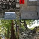小洲村 - 广州市旅游 缩略图 6