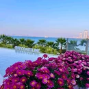 途纪·海岸线咖啡厅 - 厦门市旅游 缩略图 4