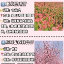 全季酒店(重庆解放碑步行街店) - 重庆市旅游 缩略图 3