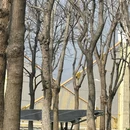 婺城区柏丽酒店(金华高铁站南广场店) - 金华市旅游 缩略图 4