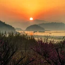 黄贤森林公园 - 宁波市旅游 缩略图 5