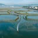 黄贤森林公园 - 宁波市旅游 缩略图 8