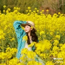 西安蓝田玉山油菜花观赏点 - 西安市旅游 缩略图 4