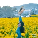 西安蓝田玉山油菜花观赏点 - 西安市旅游 缩略图 9