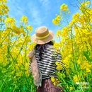 西安蓝田玉山油菜花观赏点 - 西安市旅游 缩略图 8