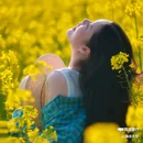 西安蓝田玉山油菜花观赏点 - 西安市旅游 缩略图 6