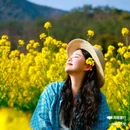 西安蓝田玉山油菜花观赏点 - 西安市旅游 缩略图 7