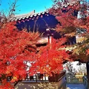 汉庭酒店(南京玄武湖先锋广场店) - 南京市旅游 缩略图 2