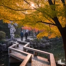 苏州旅游 缩略图 8