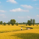 南京旅游 缩略图 4
