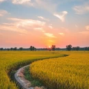 南京旅游 缩略图 8