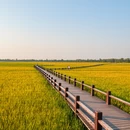 南京旅游 缩略图 5