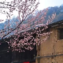 婺城区逸境·宋酒店(古子城步行街店) - 金华市旅游 缩略图 6