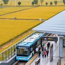 南京旅游 缩略图 4