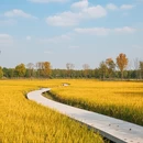 南京旅游 缩略图 9