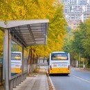 重庆旅游 缩略图 3