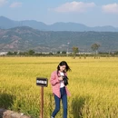 南京旅游 缩略图 7