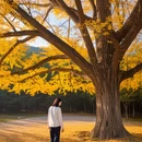 长沙旅游 缩略图 5