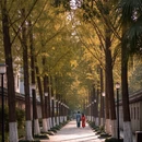 杭州旅游 缩略图 3